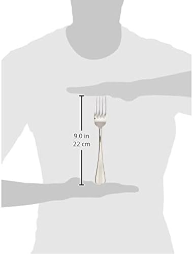 Winco Stanford Stainless Steel Table Fork 925 12 Pack