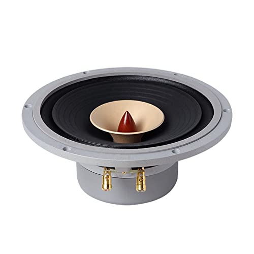 SANCAK 1 PCS Rapide 10 Haut-Parleur Complet de la Gamme 10 Pouces unité Enceinte bibliothèque - Les Beatles, Paul McCartney, John Lennon, RIngo Starr, George Harrison SANCAK 1 PCS Rapide 10 Haut-Parleur Complet de la Gamme 10 Pouces unité Enceinte bibliothèque