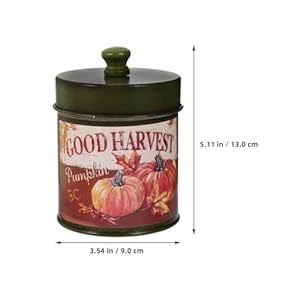 Mipcase 2pcs Rustic Metal Canister with Lid Vintage Farmhouse Storage Canister Kitchen Storage Container Vintage Tea Jar for Flour Sugar Coffee Tea Red Green