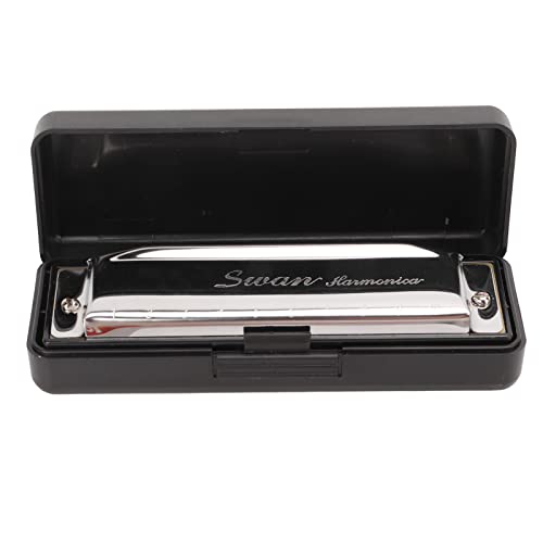 G Key Harmonica, Orgue à Bouche 10 Trous 20 Tons, Instrument de Musique PortableHarmonica Résistant à la Rouille pour Joueur Professionnel Débutant Enfants Instruments de musique - Les Beatles, Paul McCartney, John Lennon, RIngo Starr, George Harrison G Key Harmonica, Orgue à Bouche 10 Trous 20 Tons, Instrument de Musique PortableHarmonica Résistant à la Rouille pour Joueur Professionnel Débutant Enfants Instruments de musique