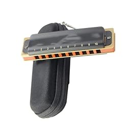 Jouer De l’harmonica De manière Professionnelle Harmonica de harpe diatonique en C, corps noir à 10 trous, anches en laiton et Bronze phosphoreux (Color : G) - Les Beatles, Paul McCartney, John Lennon, RIngo Starr, George Harrison