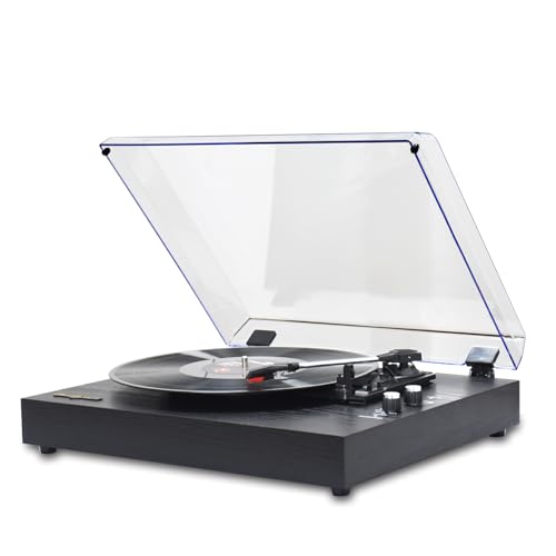 Jemora Platine Vinyle rétro Plateau tournant en Bois Gramophone Vintage Compatible avec Les disques vinyles 7/10/12 Pouces Vitesses 33/45/78 TR/Min Haut-Parleur BT5.3 Sortie RCA avec - Les Beatles, Paul McCartney, John Lennon, RIngo Starr, George Harrison Jemora Platine Vinyle rétro Plateau tournant en Bois Gramophone Vintage Compatible avec Les disques vinyles 7/10/12 Pouces Vitesses 33/45/78 TR/Min Haut-Parleur BT5.3 Sortie RCA avec