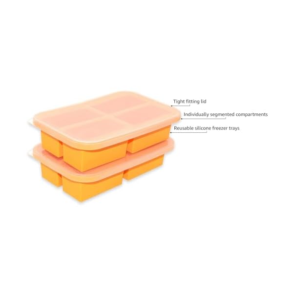   Bangp-1-Cup-Silicone-Freezer-Trays-with-Lid2-PackEasy-Release-Silicone-Freezer-ContainersSoup-Freezer-MoldsFreeze-and-Store-SoupBrothSauceLeftovers-Makes-8-Perfect-1-Cup-Portions