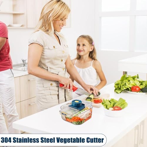 AxFbim Vegetable Chopper 304 Stainless Steel