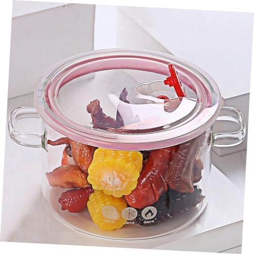Sleek borosilicate glass pot with double handles for efficient cooking