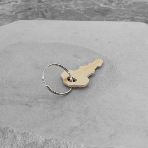 6pcs 2055 Towel Dispenser Key with Ring for Bradley