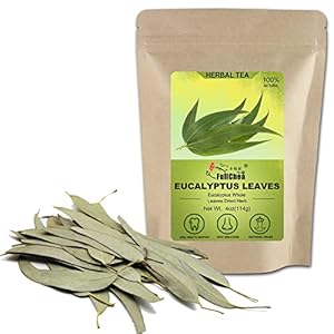 FullChea – Dried Eucalyptus L...