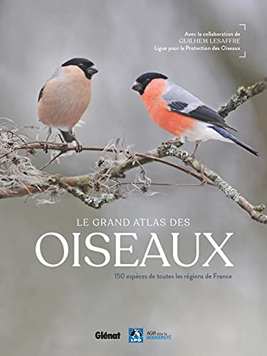 Le grand Atlas des oiseaux: 150 oiseaux des régions de France