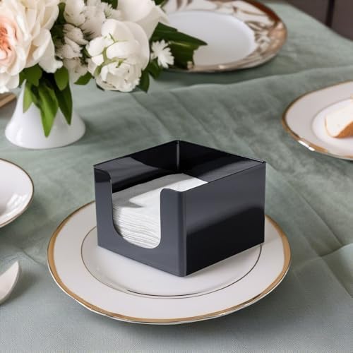 Elegant Plastic Napkin Holder