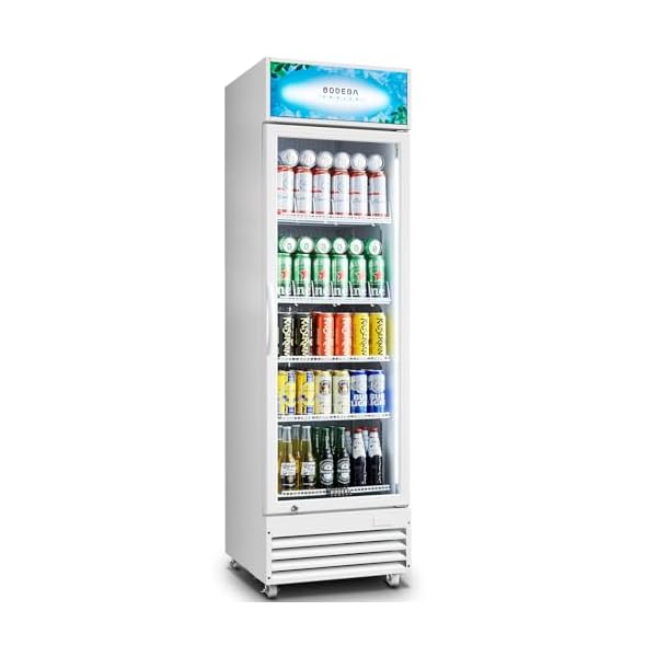   BODEGACOOLER-Commercial-Merchandiser-Refrigerator-125-CuFt-Commercial-Display-RefrigeratorGlass-Door-Display-FridgeLED-LightAdjustable-ShelvesCommercial-Beverage-CoolerWhite