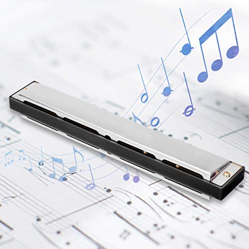 Tremolo Orgue à bouche 24 trous C Key Harmonicas Instrument à vent avec étui et chiffon de nettoyage pour enfants adultes débutants enfants(Bleu) - Les Beatles, Paul McCartney, John Lennon, RIngo Starr, George Harrison Tremolo Orgue à bouche 24 trous C Key Harmonicas Instrument à vent avec étui et chiffon de nettoyage pour enfants adultes débutants enfants(Bleu)