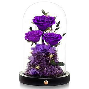 DENIMOMO Flowers Roses Gifts for Mo...