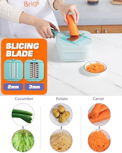 Brigii Vegetable Chopper with 3 Blades and Garlic Plate Grater - Blue