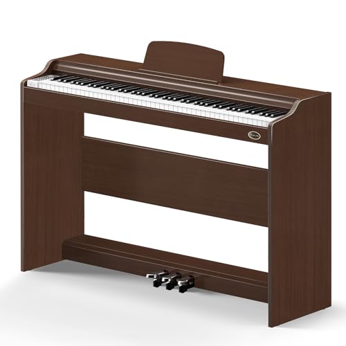 Rosen P35 Piano numérique pour débutant 88 touches avec support de meubles, piano électrique portable marron, unité à 3 pédales - Les Beatles, Paul McCartney, John Lennon, RIngo Starr, George Harrison Rosen P35 Piano numérique pour débutant 88 touches avec support de meubles, piano électrique portable marron, unité à 3 pédales
