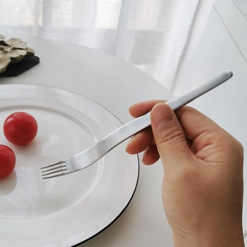 ChenShuo 4 Piece Stainless Steel Dinner Forks Set