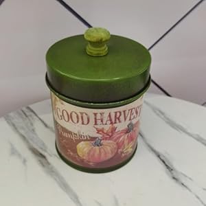 Mipcase 2pcs Rustic Metal Canister with Lid Vintage Farmhouse Storage Canister Kitchen Storage Container Vintage Tea Jar for Flour Sugar Coffee Tea Red Green