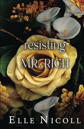 Resisting Mr. Rich (The Men Series - Interconnected Standalone Romances)
