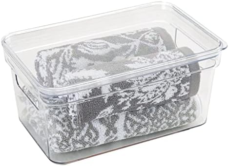 Simplify Small Lidded Storage Bin with Handles