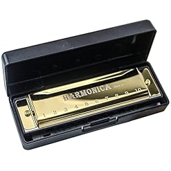 Froiny Trous Harmonica Puzzle Puzzle Instrument Musique Instrument Débutant Enseignement Jouant Cadeau Cuivre Core Résine Harmonica - Les Beatles, Paul McCartney, John Lennon, RIngo Starr, George Harrison