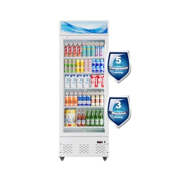   15-Cuft-Commercial-Fridge-Merchandiser-Refrigerator-Glass-Door-Upright-Display-Cooler-with-LED-Light-and-Adjustable-Shelves-for-Restaurant-Grocery-Stores-Home-ETL-and-NSF-ApprovedWhite