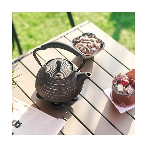   Cast-Iron-Teapot-Stovetop-Safe-Vintage-Tea-Kettle-with-Infuser-for-Loose-Leaf-Coffee-Japanese-Tea-Pot-Coated-with-Enameled-Interior-Silicone-Handle-22oz-650ml-Black