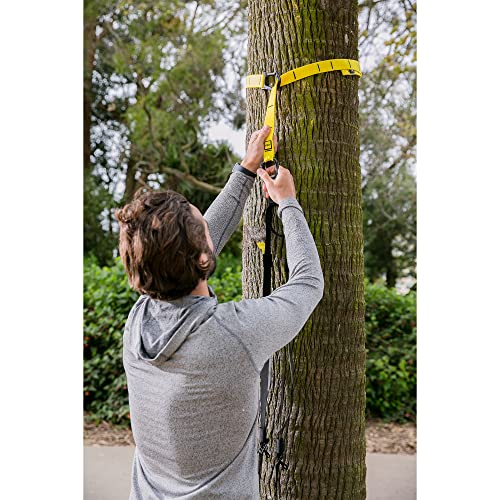 TRX GO Suspension Coach System, Full-Physique Exercise for All Ranges & Targets, Light-weight & Moveable, Quick, Enjoyable & Efficient Exercises, Residence Gymnasium Gear or for Out of doors Exercises, Gray - Image 3