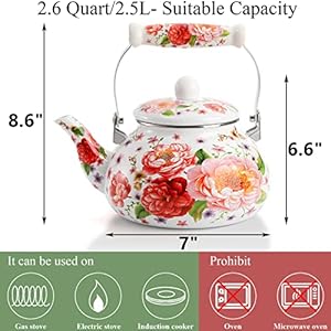   DEAYOU-26-Quart-Enamel-Tea-Kettle-25L-Porcelain-Tea-Pot-with-Handle-for-Hot-Water-No-Whistling