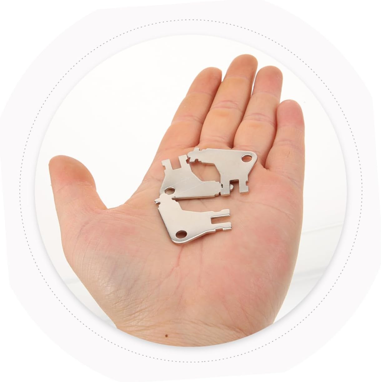 SAFIGLE 5-Piece Toilet Tissue Dispenser Key Set
