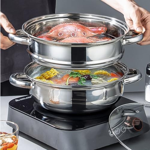 Multipurpose Stainless Steel Steamer Pot - 11-inch