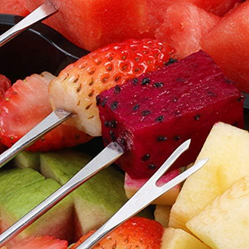 Stainless Steel Fondue Fork Set with Handle for Kitchen