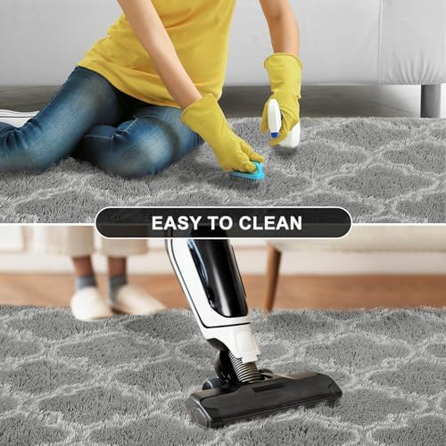 Puremy Plush 4x6 Area Rug High Pile