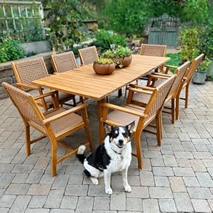 Sophia William 9 Piece Patio Outdoor Dining Table Chair Set Rattan Furniture Set of 8 Rattan Chairs and 1 Acacia Wood Rectangular Table for Yard Garden Porch and Poolside