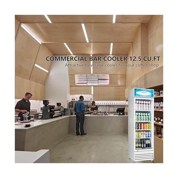   BODEGACOOLER-Commercial-Merchandiser-Refrigerator-125-CuFt-Commercial-Display-RefrigeratorGlass-Door-Display-FridgeLED-LightAdjustable-ShelvesCommercial-Beverage-CoolerWhite