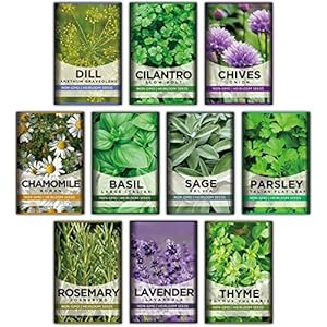 10 Kit Non-GMO Growing into Thyme, ...