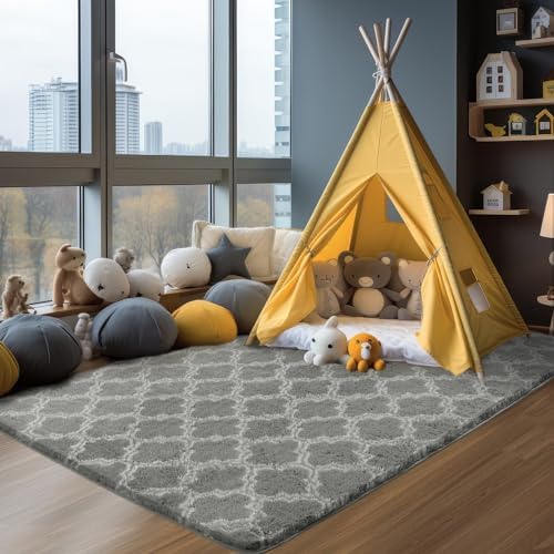 Puremy Plush 4x6 Area Rug High Pile
