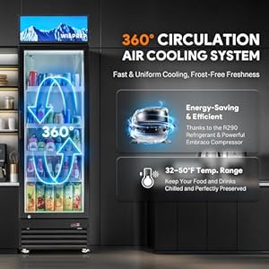 Commercial Display Refrigerator 151 cu ft Glass Door Merchandiser Refrigerator with LED Light 238 in Upright Beverage Cooler for Restaurants Retail Stores ETL ETL Sanitation Listed