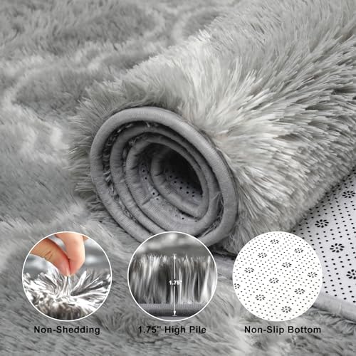 Puremy Plush 4x6 Area Rug High Pile