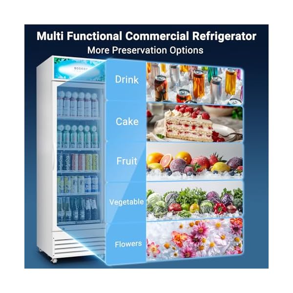   BODEGACOOLER-Commercial-Merchandiser-Refrigerator-125-CuFt-Commercial-Display-RefrigeratorGlass-Door-Display-FridgeLED-LightAdjustable-ShelvesCommercial-Beverage-CoolerWhite