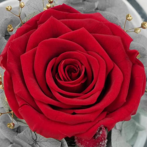 Sunia Preserved Flower Rose Gift for Women - Mother's Day Birthday Gifts for Mom Wife Grandma, Glass Angel Figurines Forever Real Roses Gifts for Her Valentine Day Thanksgiving (Red) - Image 4