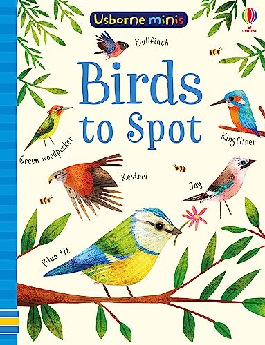 Birds to Spot (Usborne Minis)