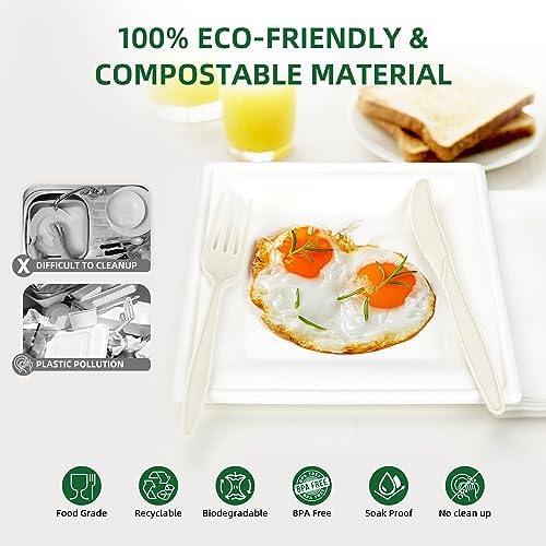 Eco-Friendly 300PC Compostable Plate Set for Parties