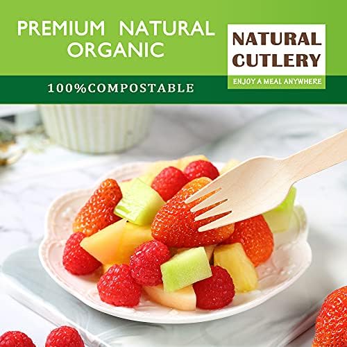 Alter Eco Wooden Forks 100_pack