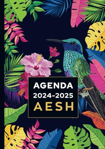 Agenda de bord 2024/2025 - AESH: Carnet de bord et carnet de notes A4