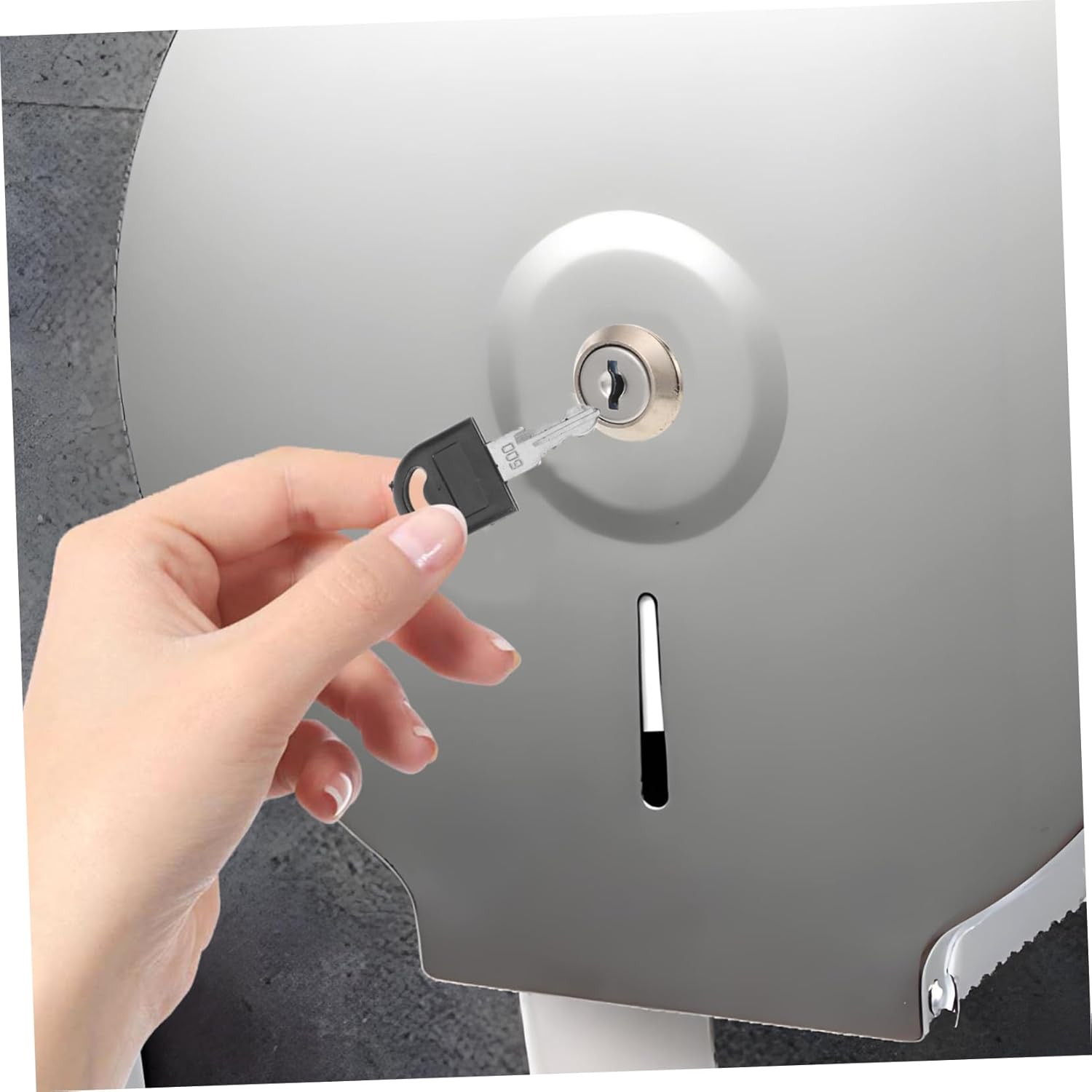 Stainless Steel Toilet Dispenser Key Replacement