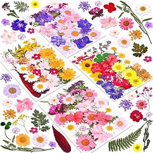140 Pcs Dried Pressed Flowers for R...