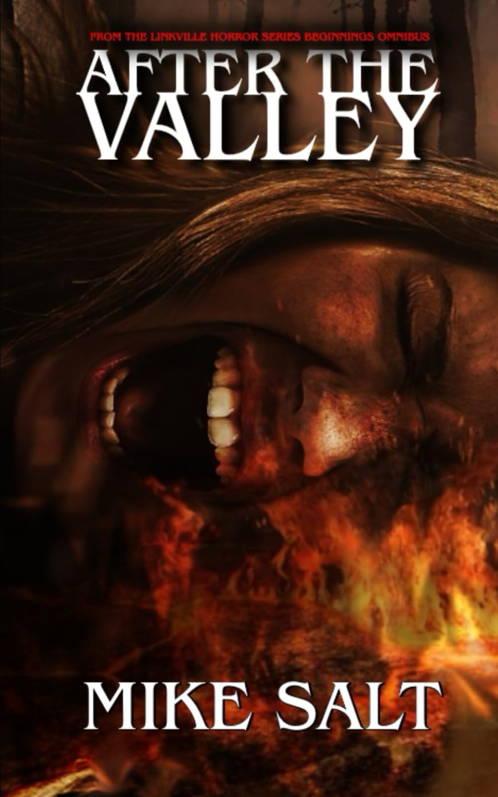 Cover of After The Valley: from the Linkville Horror Series Beginnings Omnibus