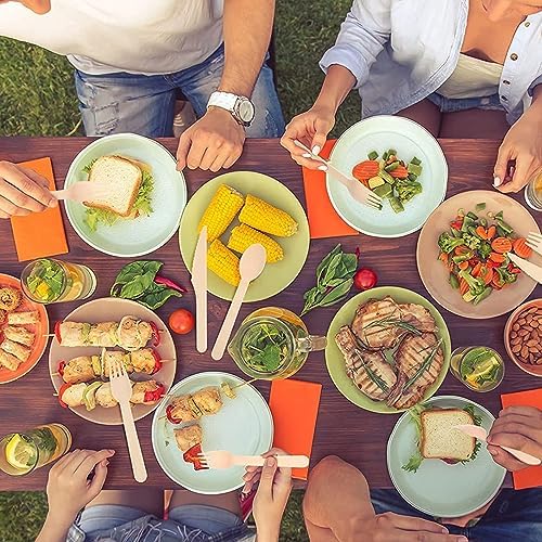 Eco-Friendly Birchwood 250-Pack Disposable Forks