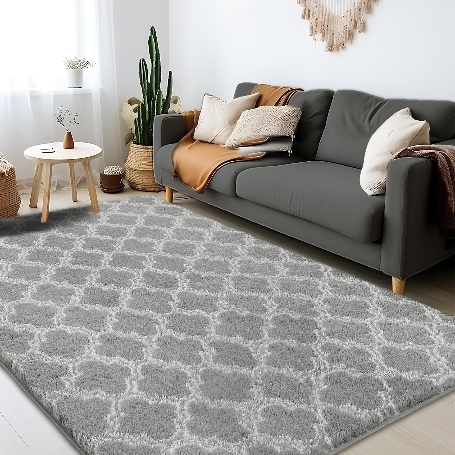 Puremy Plush 4x6 Area Rug High Pile