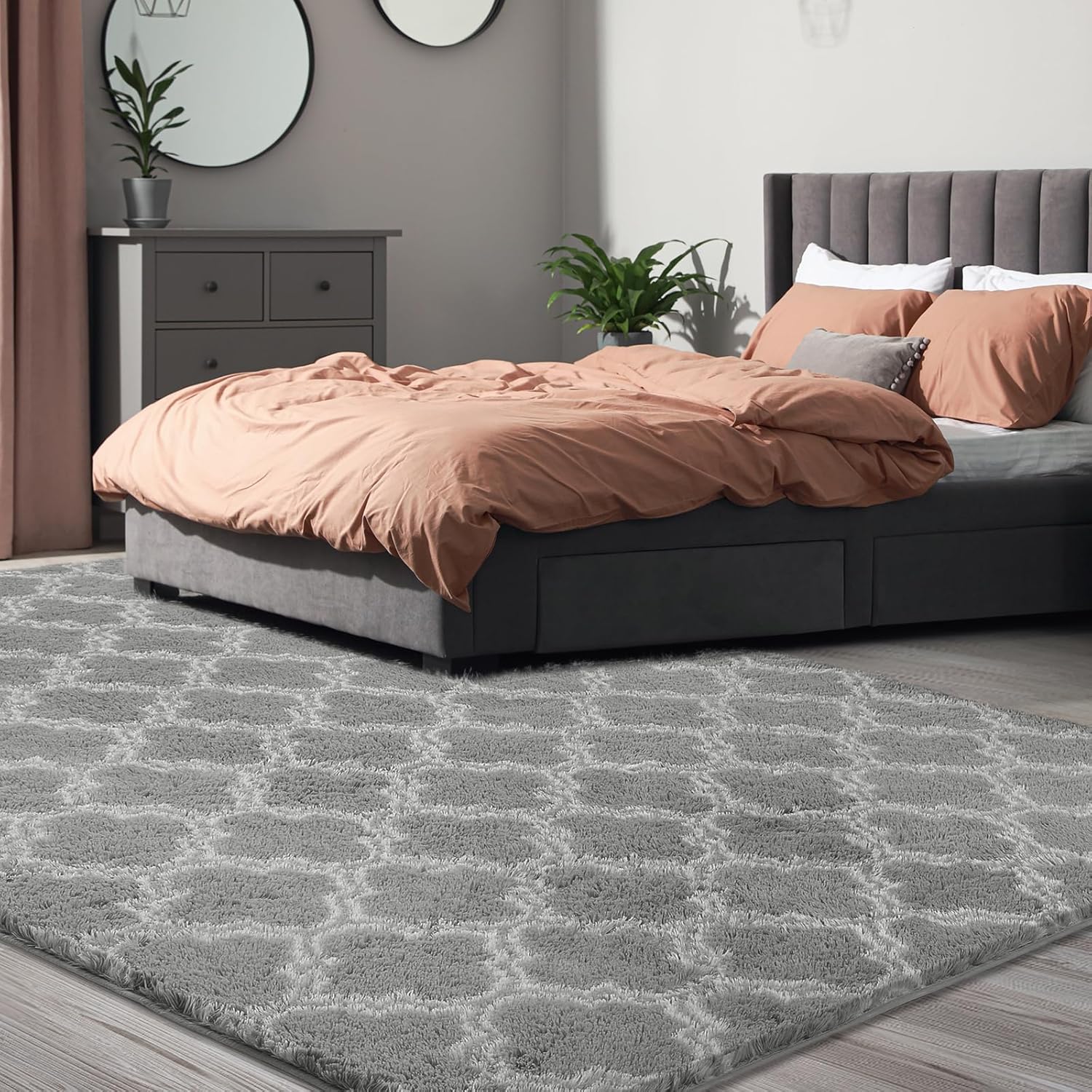 Puremy Plush 4x6 Area Rug High Pile