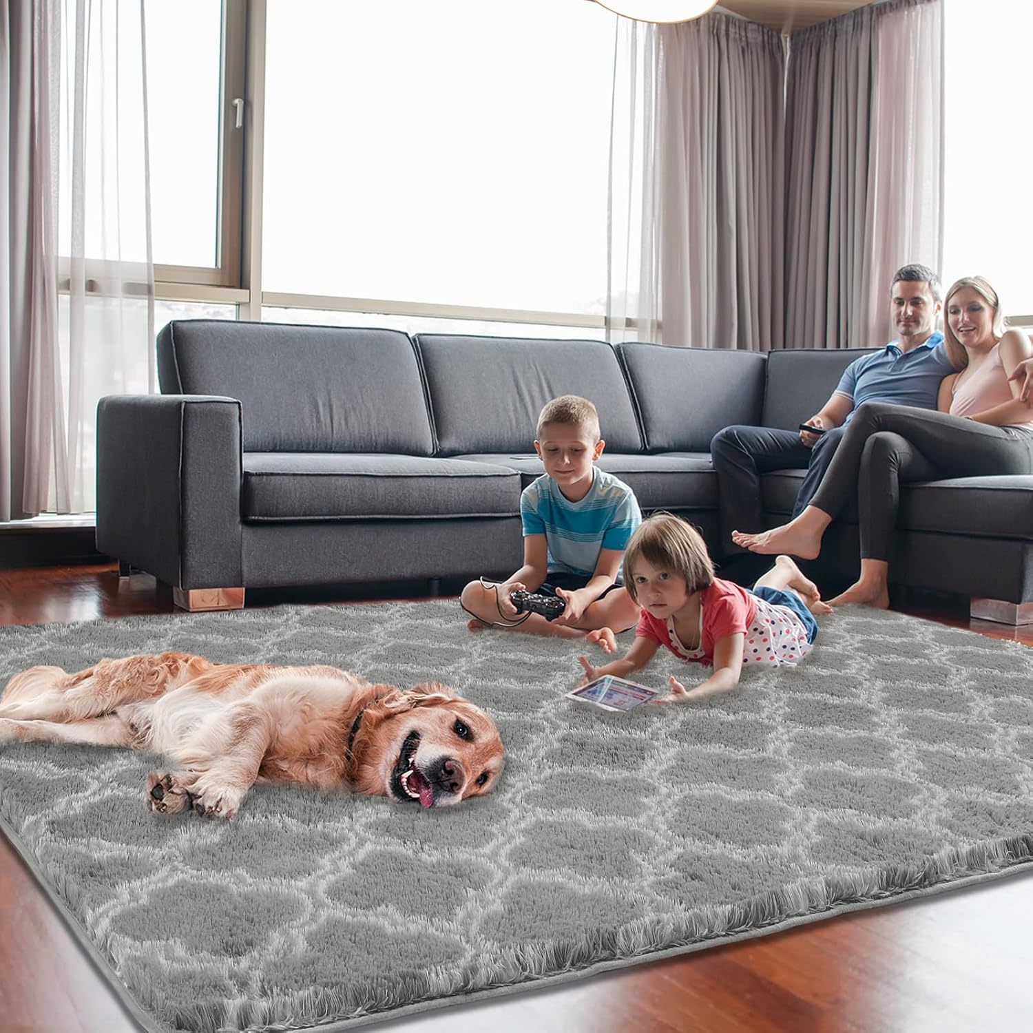 Puremy Plush 4x6 Area Rug High Pile